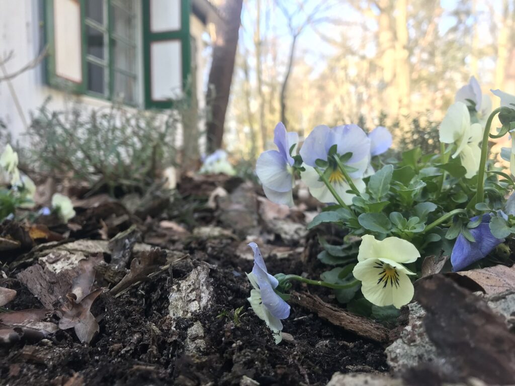 Catering retraites Nederland